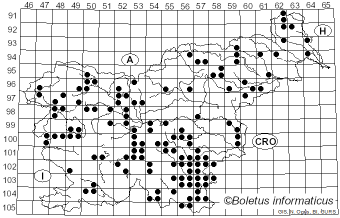 <i>Chlorociboria aeruginascens</i> (Nyl.) Kanouse ex C.S. Ramamurthi, Korf & L.R. Batra (1958)