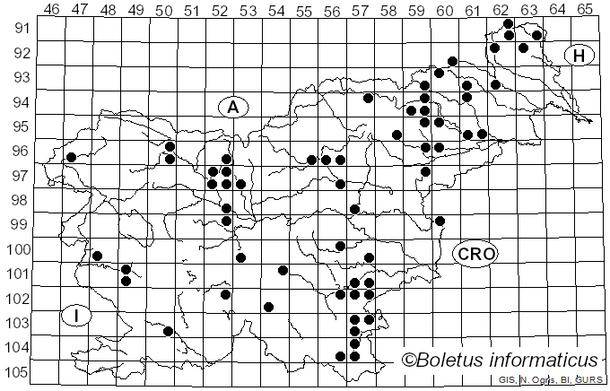 <i>Neofavolus</i> Sotome & T. Hatt. (2013)