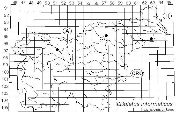 <i>Calcipostia guttulata</i> (Sacc.) B.K. Cui, L.L. Shen & Y.C. Dai (2018)