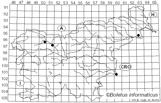 <i>Hyphodontia pallidula</i> (Bres.) J. Erikss. (1958)