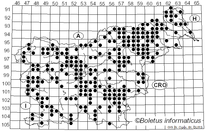 <i>Pholiota</i> (Fr.) P. Kumm. (1871)
