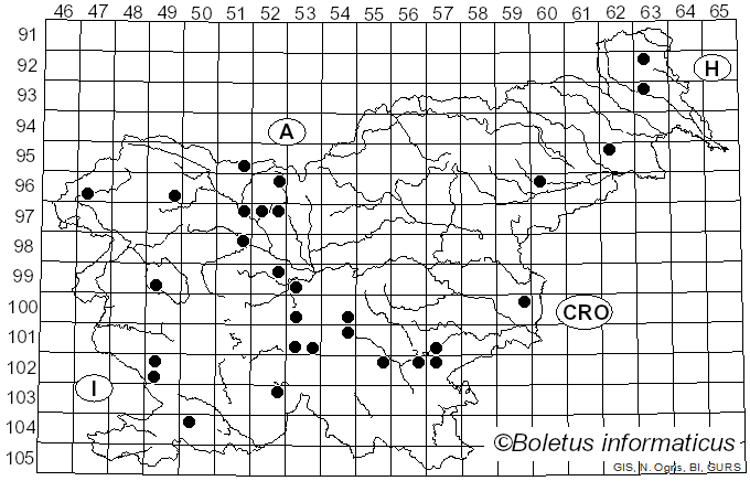<i>Phyllotopsis</i> E.-J. Gilbert & Donk ex Singer (1936)