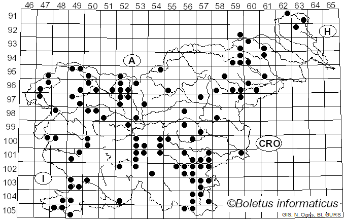 <i>Suillellus</i> Murrill (1909)