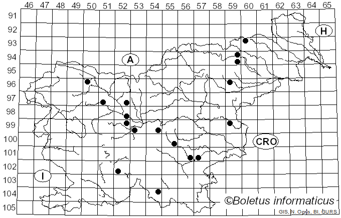 <i>Paralepista gilva</i> (Pers.) Raithelh. (1996)