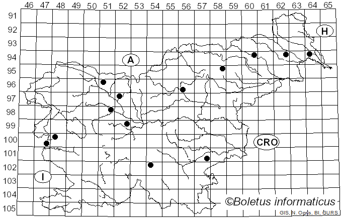 <i>Cudoniella acicularis</i> (Bull.) J. Schröt. (1893)