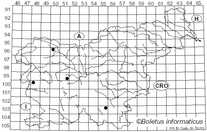 <i>Sidera vulgaris</i> (Fr.) Miettinen (2011)