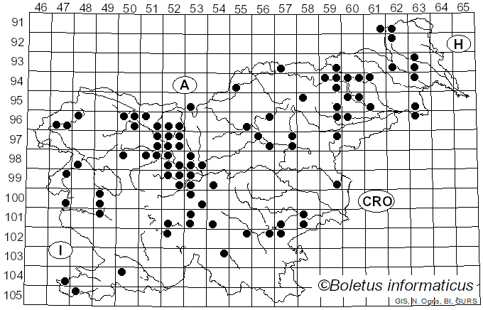 <i>Flammulina</i> P. Karst. (1891)