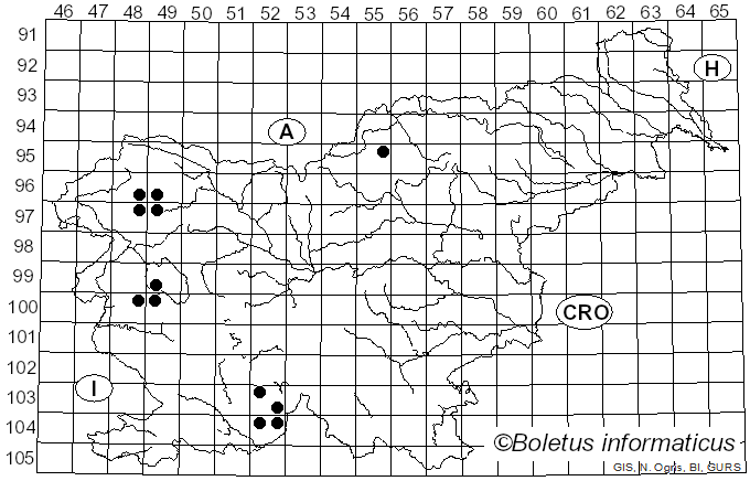 <i>Bacidia subincompta</i> (Nyl.) Arnold (1870)