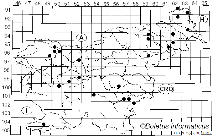 <i>Trichoderma</i> Pers. (1801)