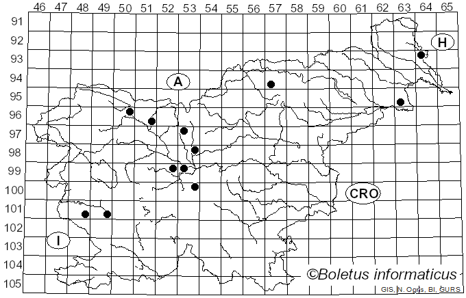 <i>Sphaeropsis</i> Lév. (1842)