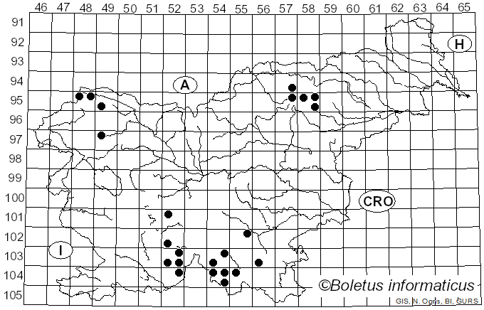 <i>Thelotrema lepadinum</i> (Ach.) Ach. (1803)
