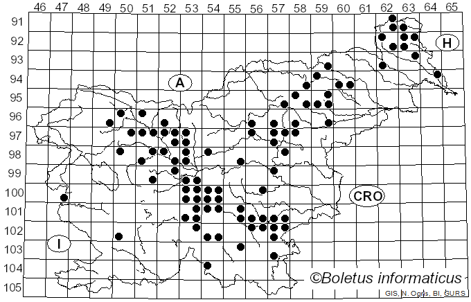 <i>Hygrophorus marzuolus</i> (Fr.) Bres. (1893)