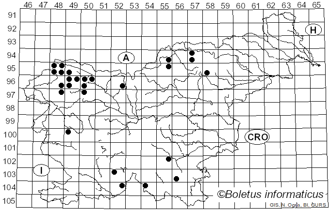 <i>Parmeliopsis hyperopta</i> (Ach.) Vain. (1881)