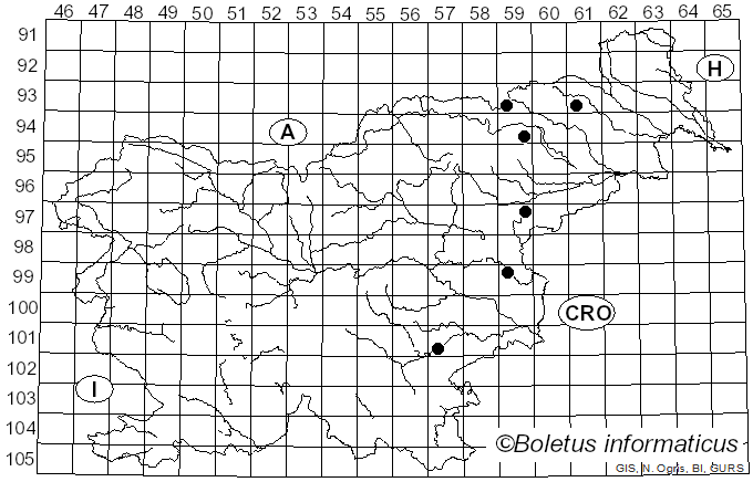 <i>Entoloma papillatum</i> (Bres.) Dennis (1953)