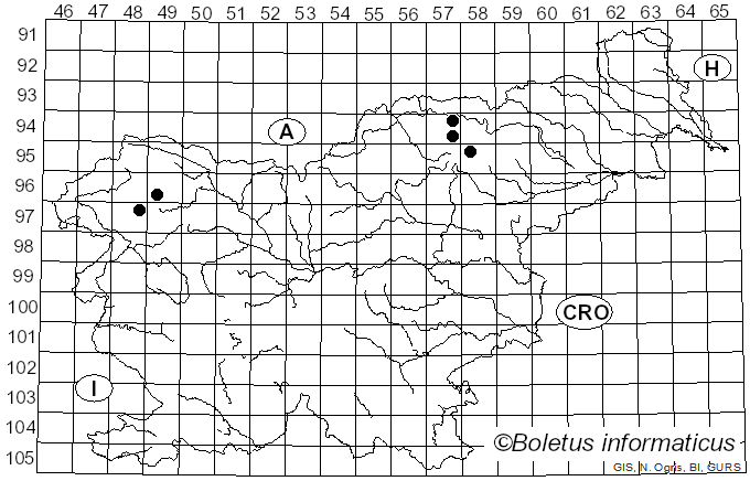 <i>Pertusaria ophthalmiza</i> (Nyl.) Nyl. (1865)