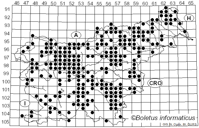 <i>Amanita muscaria</i> (L.) Lam. (1783)