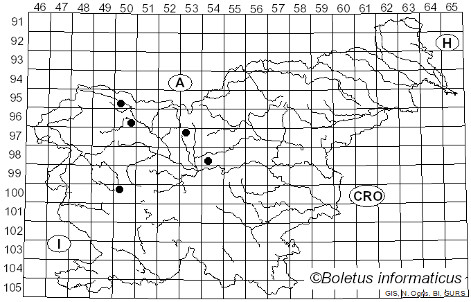 <i>Uromyces scrophulariae</i> (DC.) Berk. & Broome ex J. Schröt. (1869)
