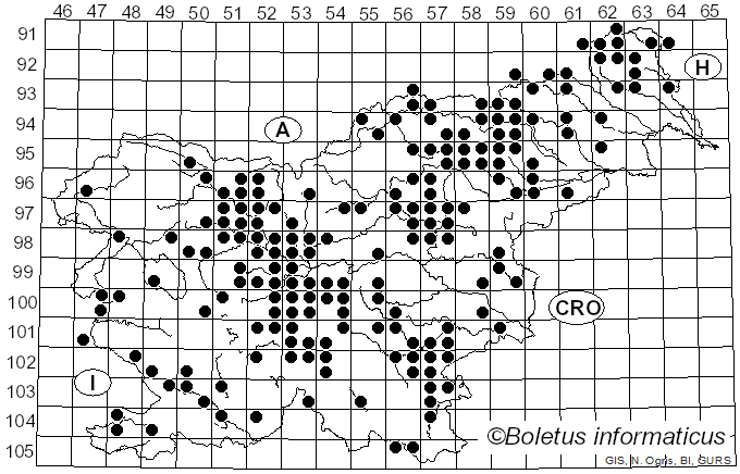 <i>Suillus luteus</i> (L.) Gray (1821)