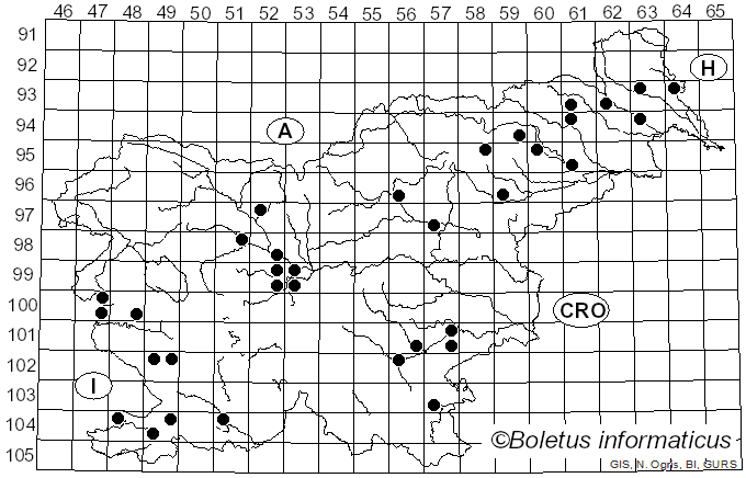<i>Pholiota populnea</i> (Pers.) Kuyper & Tjall.-Beuk. (1986)
