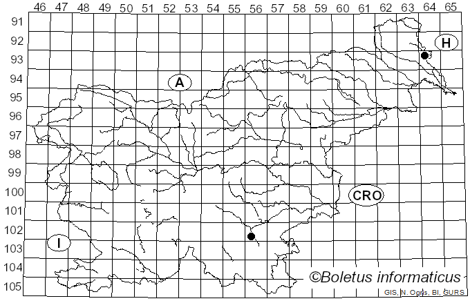 <i>Enchnoa infernalis</i> (Kunze) Fuckel (1871)
