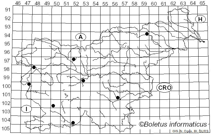 <i>Phlegmacium amoenolens</i> (Rob. Henry ex P.D. Orton) Niskanen & Liimat. (2022)