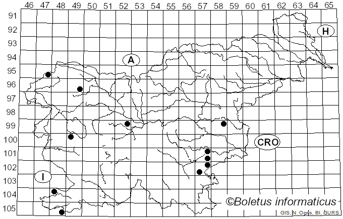 <i>Lactarius luridus</i> (Pers.) Gray (1821)