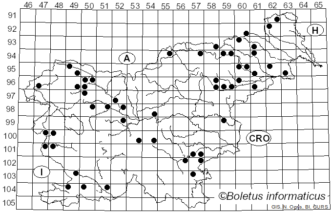 <i>Parasola</i> Redhead, Vilgalys & Hopple (2001)