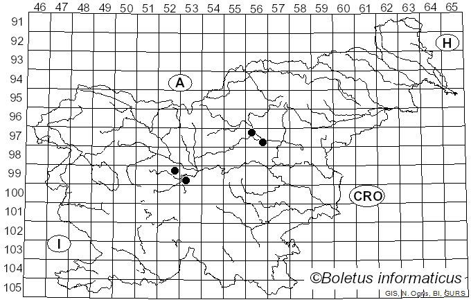 <i>Inocybe pelargonium</i> Kühner (1955)