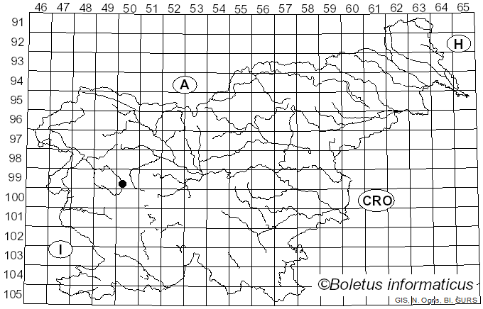 <i>Pholiota muricella</i> (Fr.) Bon (1985)
