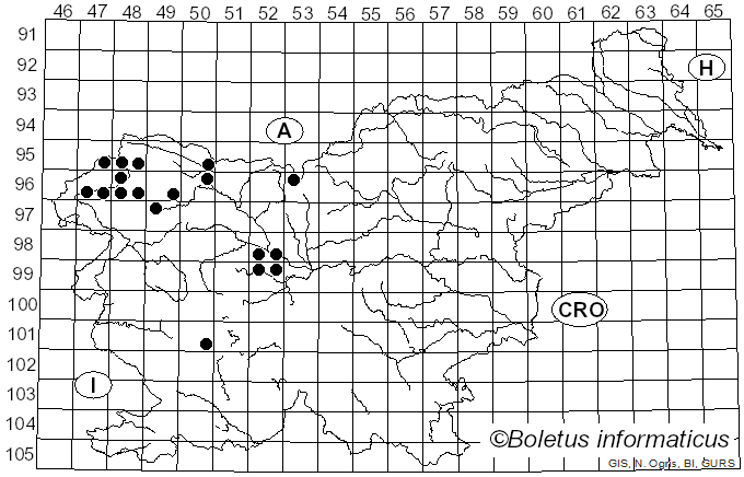 <i>Anthracoidea</i> Bref. (1895)