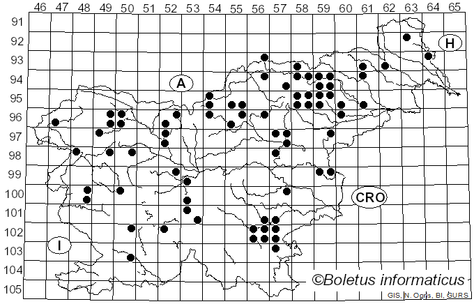 <i>Amanita submembranacea</i> (Bon) Gröger (1979)