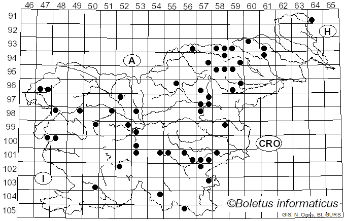 <i>Russula anthracina</i> Romagn. (1962)