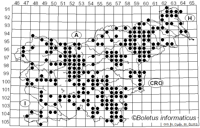 <i>Schizophyllum commune</i> Fr. (1815)