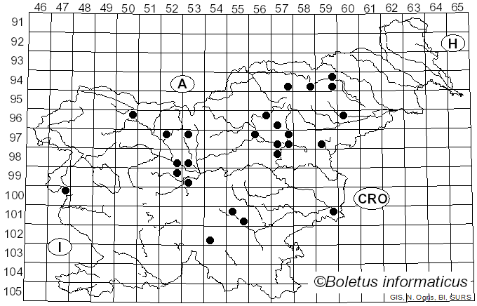 <i>Bovista dermoxantha</i> (Vittad.) De Toni (1888)