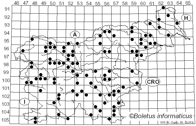<i>Ceratiomyxa</i> J. Schröt. (1889)