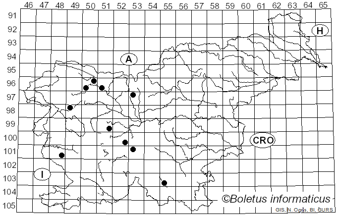 <i>Epicoccum</i> Link (1815)