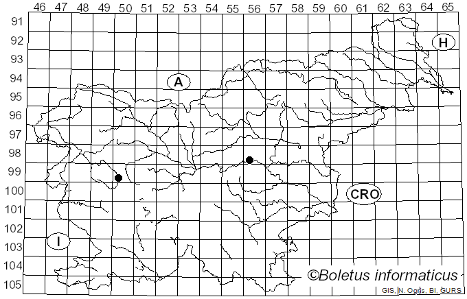 <i>Polyporus destructor</i> (Schrad.) Fr. (1815)