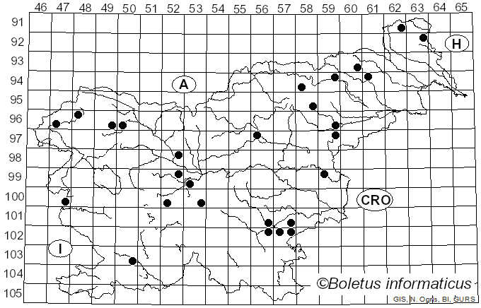 <i>Thelephora caryophyllea</i> (Schaeff.) Pers. (1801)