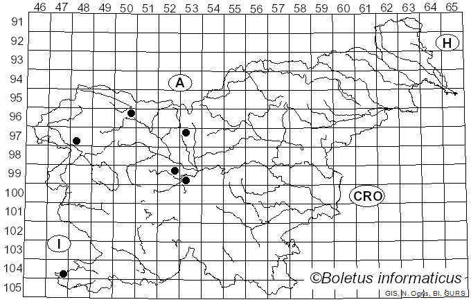 <i>Podosphaera</i> Kunze (1823)