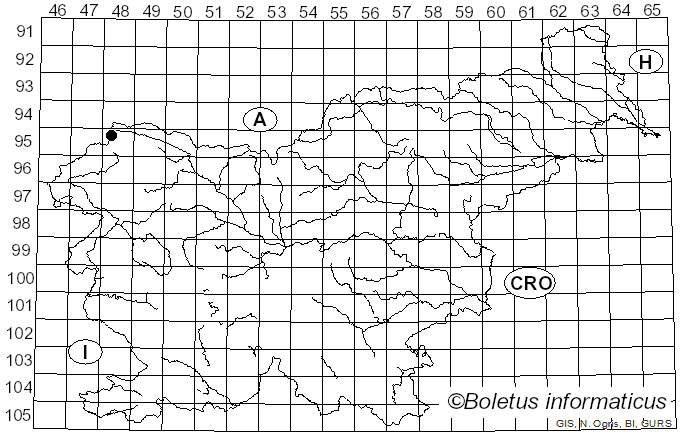 <i>Lophiostoma macrostomum</i> (Tode) Ces. & De Not. (1863)