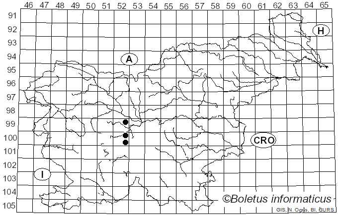 <i>Pipiza austriaca</i> Meigen