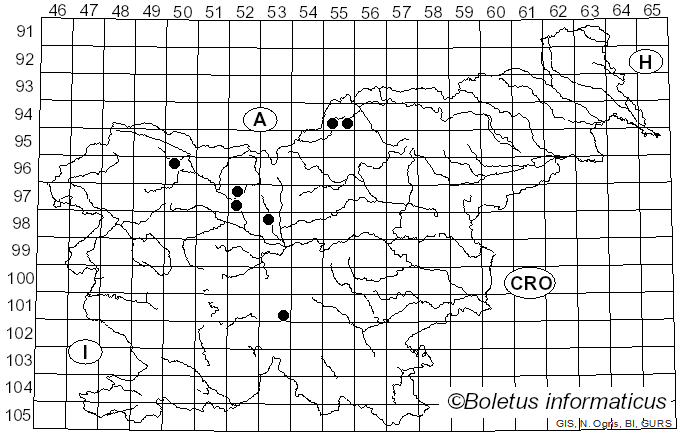 <i>Fuligo rufa</i> Pers. (1794)
