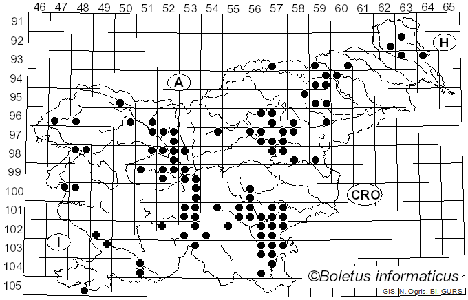 <i>Cantharellus ianthinoxanthus</i> (Maire) Kühner (1947)