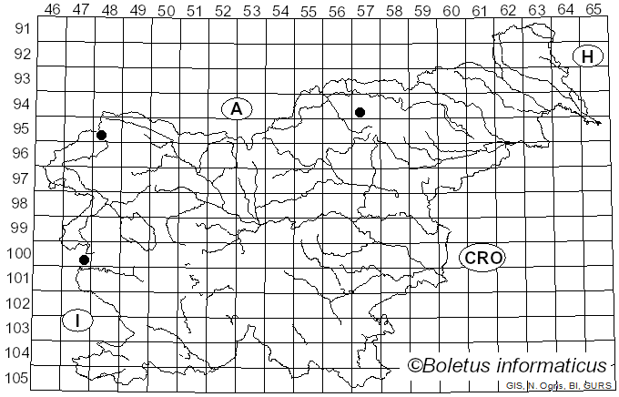 <i>Tapesia fusca</i> (Pers.) Fuckel (1869)