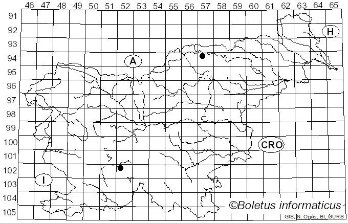 <i>Rubroboletus pulcherrimus</i> (Thiers & Halling) D. Arora, N. Siegel & J.L. Frank (2015)