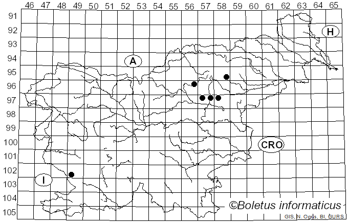 <i>Lycoperdon floccosum</i> Lloyd