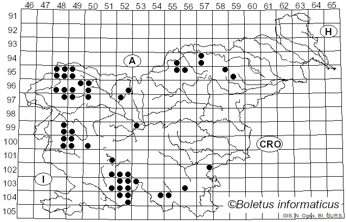 <i>Lecidella elaeochroma</i> f. <i>elaeochroma</i> (Ach.) M. Choisy (1950)