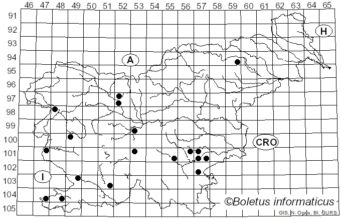 <i>Dissingia leucomelaena</i> (Pers.) K. Hansen & X.H. Wang (2019)