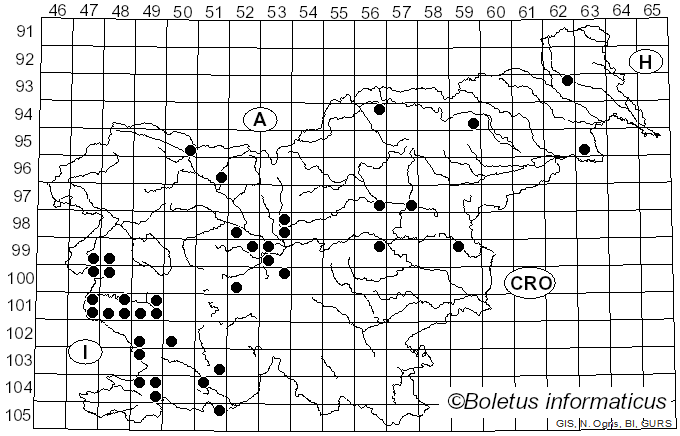<i>Diplodia pinea</i> (Desm.) J. Kickx f. (1867)