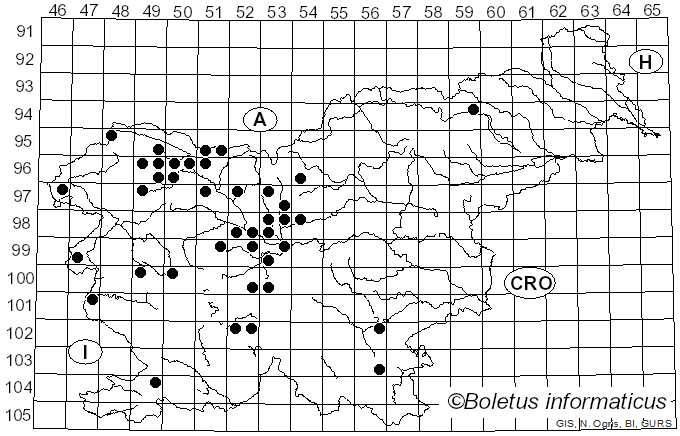 <i>Coleosporium</i> Lév. (1847)